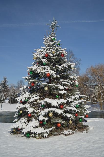 christmas tree 1908900 640