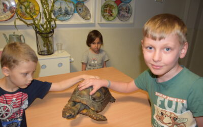 Odlotowe pokazy w Szpitaliku, ze zwierzętami w roli głównej. Niespodzianka i super nagroda dla uczniów szkoły szpitalnej.