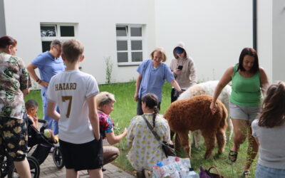 Dzień Dziecka w Szpitaliku. Spotkanie z alpakami : Marcepankiem i Karmelkiem. Konkurs sensoryczny z nagrodami. Koktajle owocowe i gofry.