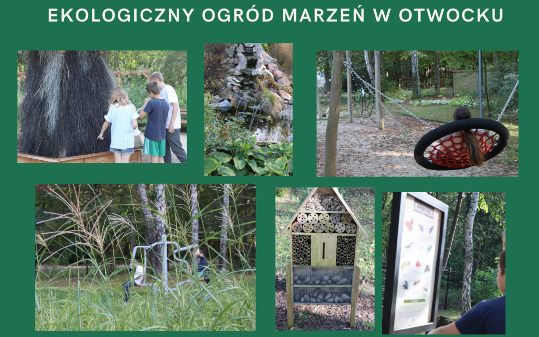 EKOLOGICZNY OGROD MARZEN W OTWOCU