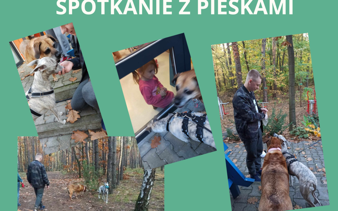 SPOTKANIE Z PIESKAMI