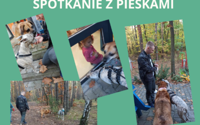 W piękne słoneczne weekendowe popołudnie w szpitalikowej szkole zagościły dwa sympatyczne pieski Setuarda  i Molly.Zabrały dzieci na jesienny terapeutyczny spacer, pokazały różne psie sztuczki. Wykonywały polecenia, podawały łapę, dawały glos, siadały, liczyły palce , a nawet w psim języku odpowiadały na pytania – ile to jest pierwiastek z 9 i ile widzisz paluszków?”