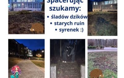 Spacery – to świetny sposób na zdrowie!  #innowacjametodycznaRUCHTOZDROWIEIFRAJDA!