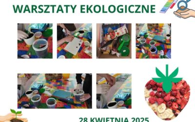 Rozpoczęliśmy cykl warsztatów ekologicznych. Dziękujemy EkoPaka za przesłanie materiałów! Dziś dużo się działo! Między innymi degustowaliśmy liofilizowane owoce, badaliśmy glebę i sialiśmy szczypiorek.