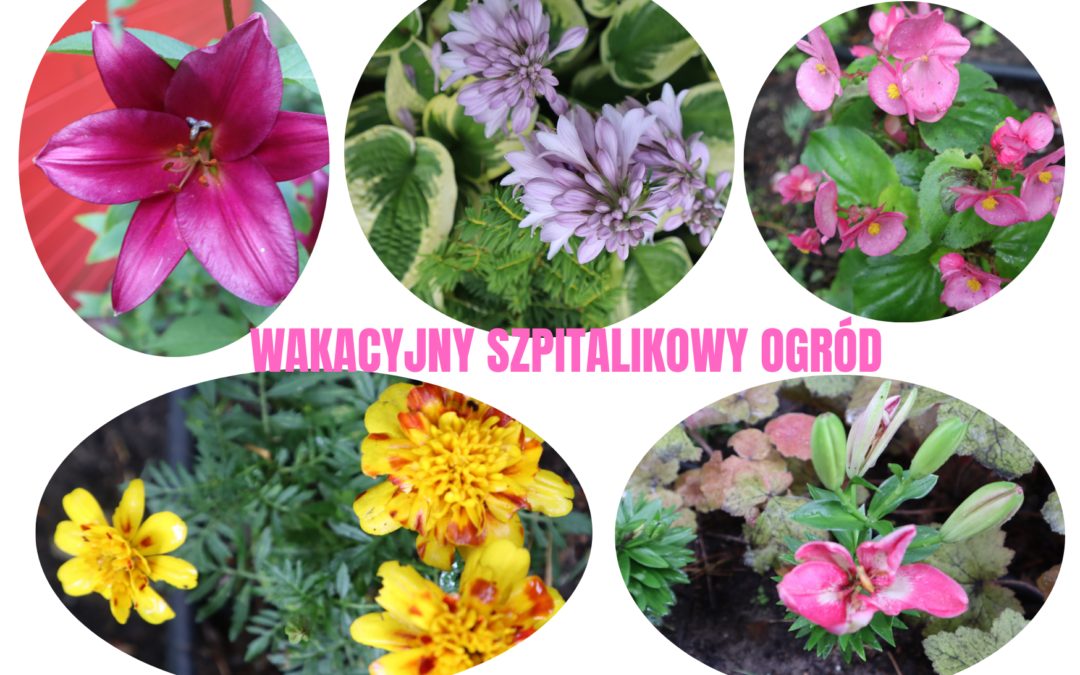 WAKACYJNY SZPITALIKOWY OGRÓD (1)