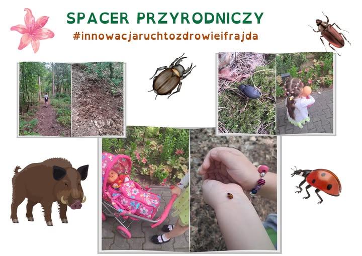Zobaczcie jak spędziliśmy wczorajsze popołudnie. Spacerek połączony z zabawą (lalka w wózku zabrana na wycieczkę) oraz obserwacją przyrody – to murowany sukces na mile spędzone popołudnie 🙂.