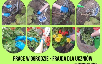 Dziś prace w ogrodzie. Dwie misje specjalne😀:  1. Podjęliśmy próbę ratowania rozkopanych przez dziki dwóch niedawno zasadzonych hortensji  2. Usuwaliśmy przekwitłe kwiaty pelargonii,  zapobiega to rozwojowi chorób grzybowych, zachęca roślinę do wytwarzania nowych pąków a pelargonie wyglądają bardziej atrakcyjnie i zadbanie bez przekwitłych, brązowiejących kwiatów. Nie obyło się również bez podlewania!